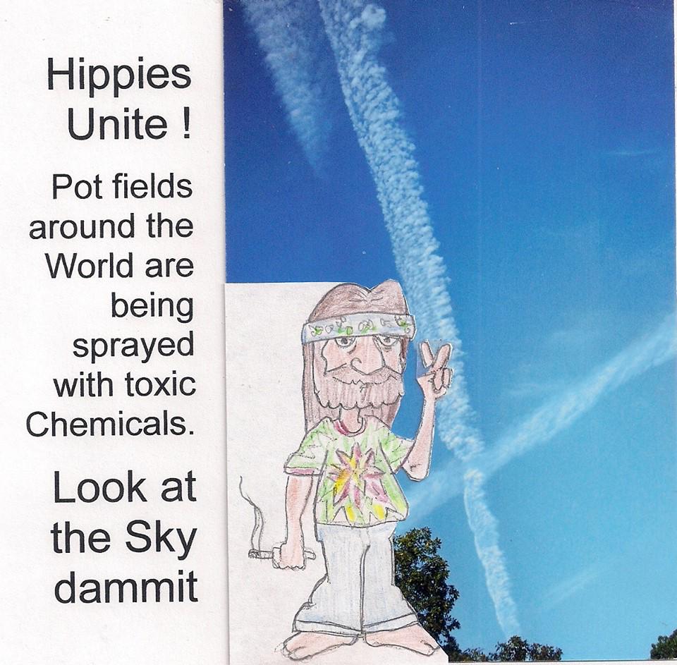DebWard628's tweet photo. #Pot #Smokers Pay Attention :) @OpChemtrails http://t.co/IVh6WOoiVV