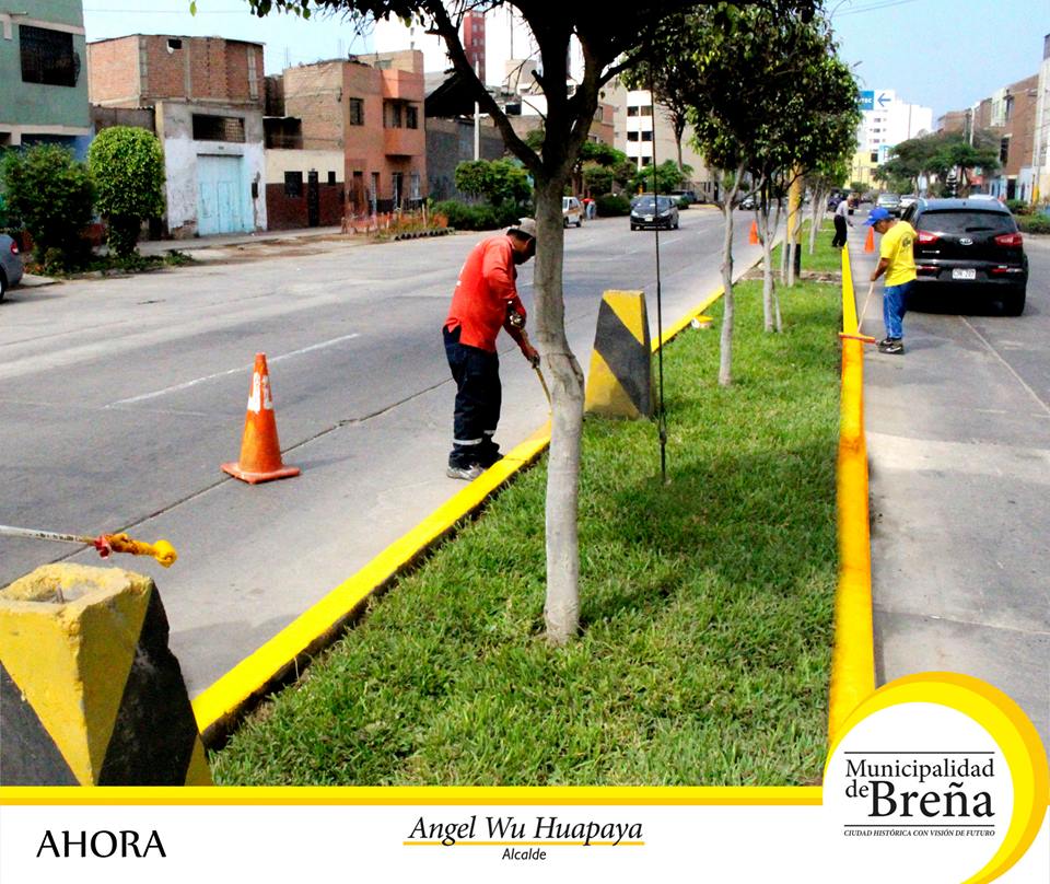 MuniBrena's tweet photo. RECUPERACIÓN DE LAS ÁREAS VERDES DE LA AV. AGUARICO.
¡Seguimos Avanzando!
Ciudad Histórica con Visión de Futuro... http://t.co/wkIpLatyZq