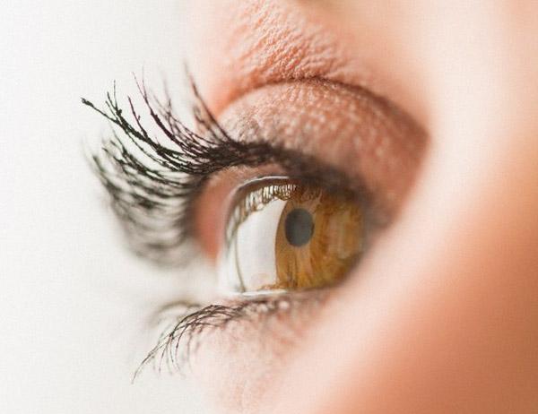 muyinteresante's tweet photo. ¿Qué partes del ojo puede dañarnos el Sol? http://t.co/27QWhjrFsF http://t.co/aHrmuiHEkU