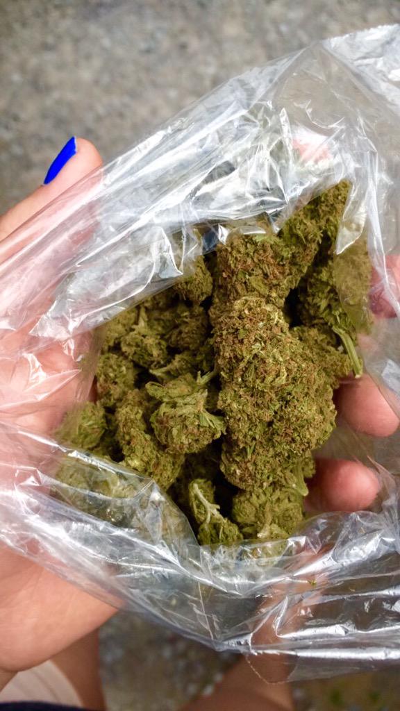 queens420's tweet photo. “@MrWizKhallifa: Weed: It's something to do, when there's nothing to do, that makes nothing to do, something to do.” http://t.co/fCMk6EyMLl
