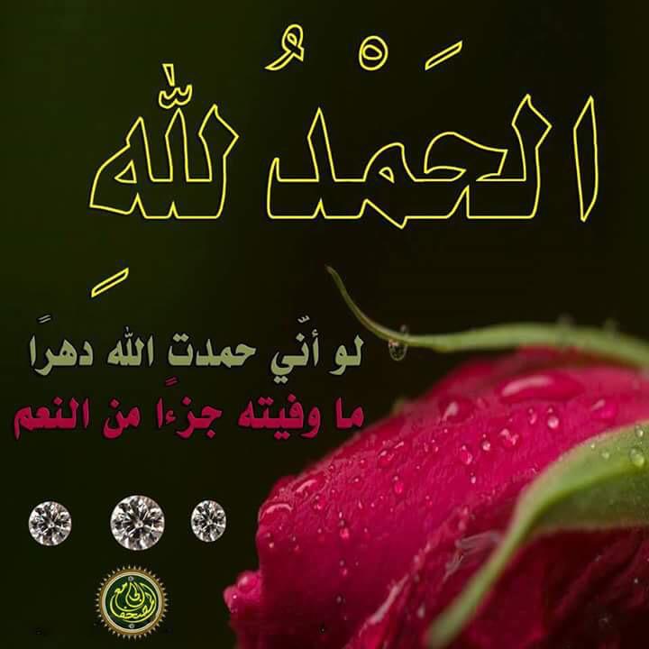CaptainAshraf2's tweet photo. http://t.co/NL0gErDYjM