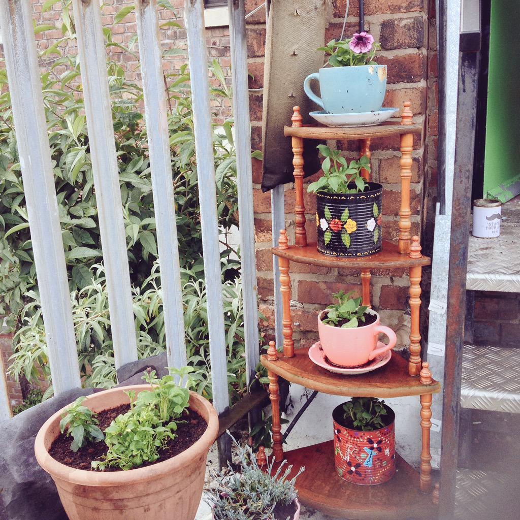 oldtownbloomers's tweet photo. A few peeks at our mini rooftop garden #oldtownbloom http://t.co/WATzZQTuOJ