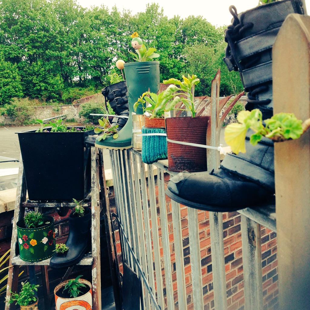 oldtownbloomers's tweet photo. A few peeks at our mini rooftop garden #oldtownbloom http://t.co/WATzZQTuOJ