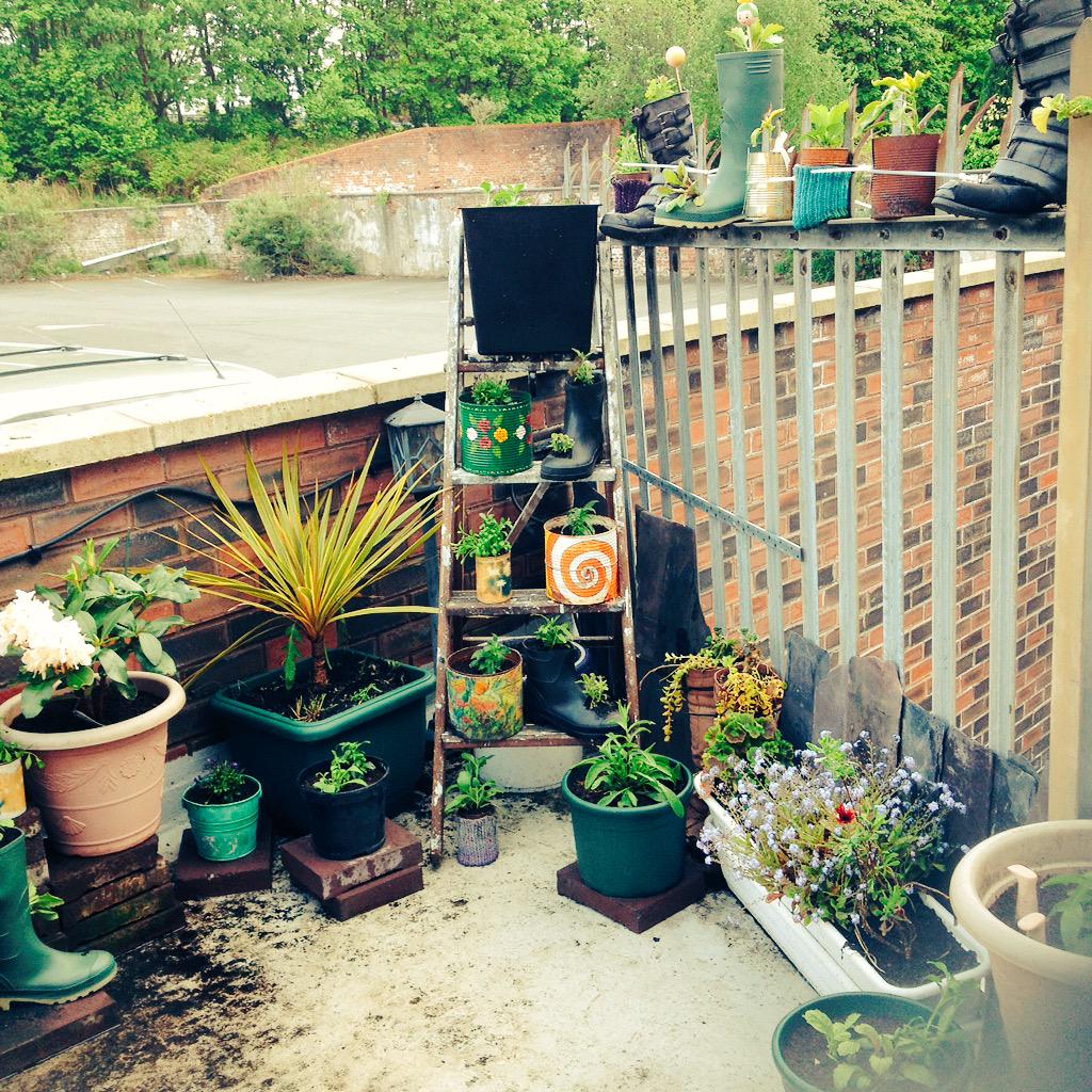 oldtownbloomers's tweet photo. A few peeks at our mini rooftop garden #oldtownbloom http://t.co/WATzZQTuOJ