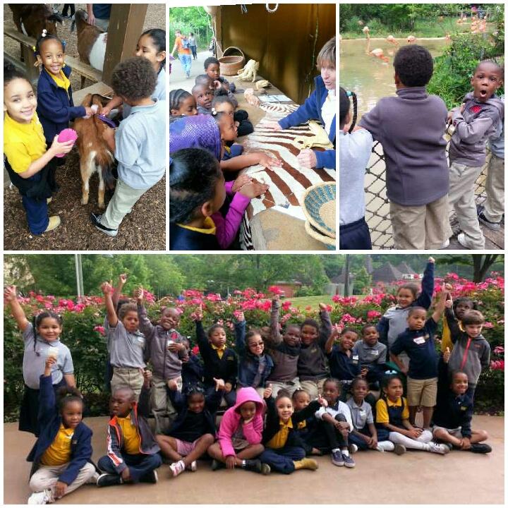 EEPCSUN's tweet photo. Amazing day at the zoo with all the kiddos! We all enjoyed ourselves and are ready for a nap! :) http://t.co/oAASReCm5x