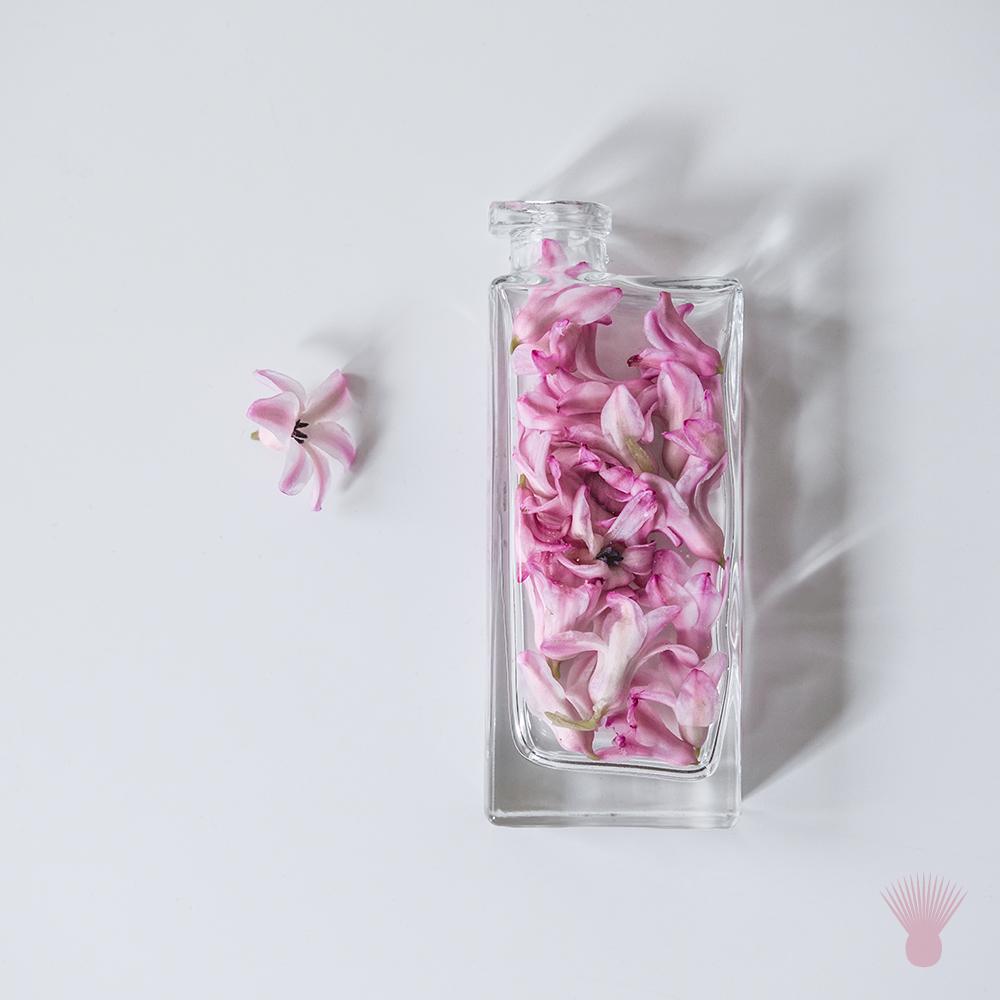 OfficialCorzo's tweet photo. Those who lead fearlessly never cease to blossom. #ChallengeExpected http://t.co/4CONS0Exo8