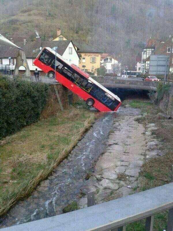 WolfpackAlan's tweet photo. And here we see a wild bus drinking water from a river http://t.co/7bDBMFl1GC