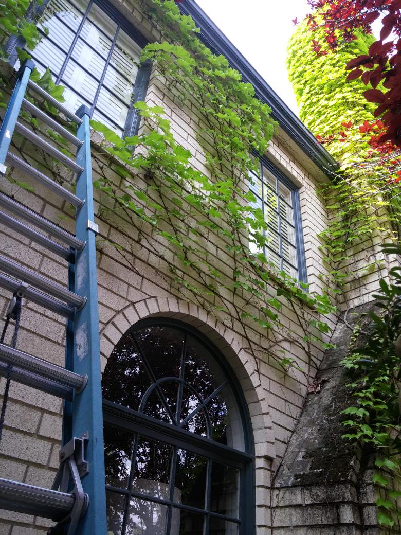 abcwindowclean's tweet image. Have a wonderful day! #windowcleaning