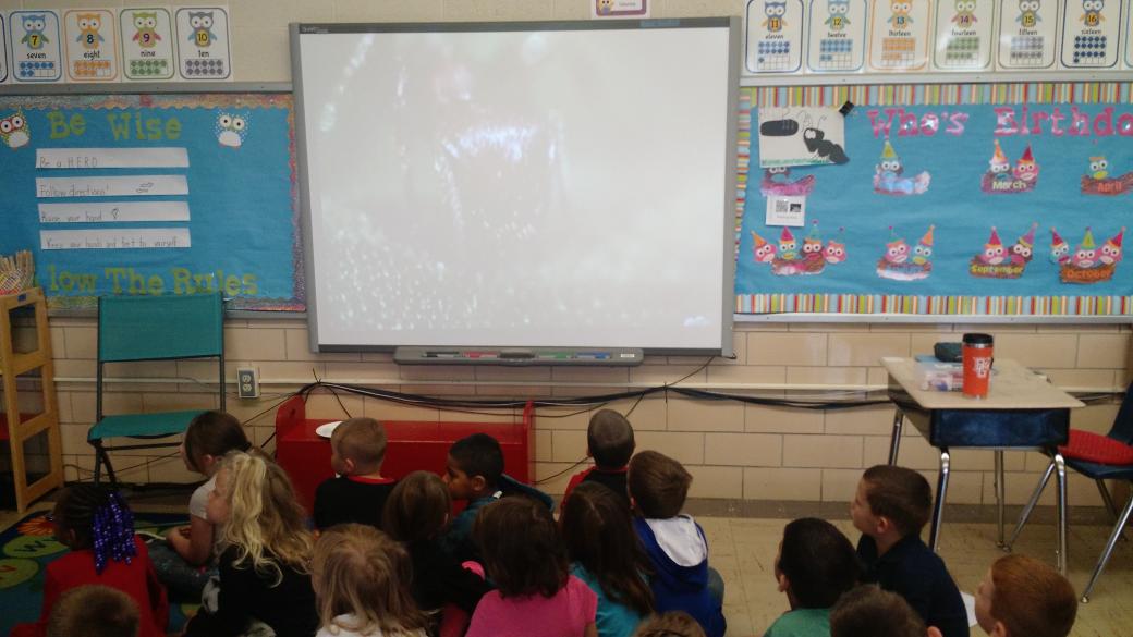 MrsCalmes_NW's tweet photo. Learning about ants with a life cycle project, fun snack, movie and a little dancing. http://t.co/8Rl76PtzoO