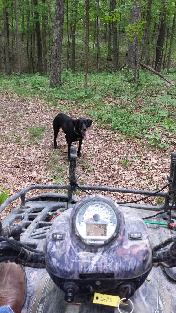 BelleFromNorth's tweet photo. Why find a boyfriend when I got my best friend? #MyBabyGirl #FuckTrying #QuadTime http://t.co/c7nVqk9Bgh