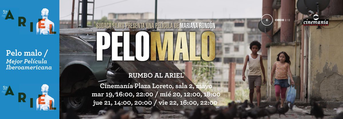 Circo212's tweet photo. Otra de las #nomidas al #Ariel2015 es @FilmPeloMalo, no te la pierdas hoy a las 16:00 y 22:00hrs. en @CinemaniaLoreto http://t.co/lTs9hF62pu