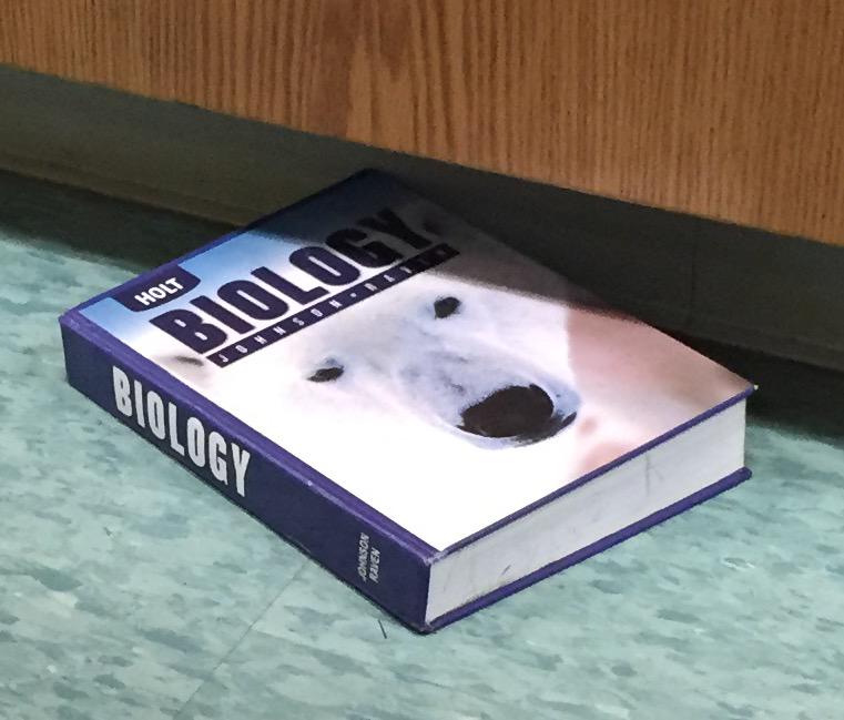 Cherish Bell tweet media