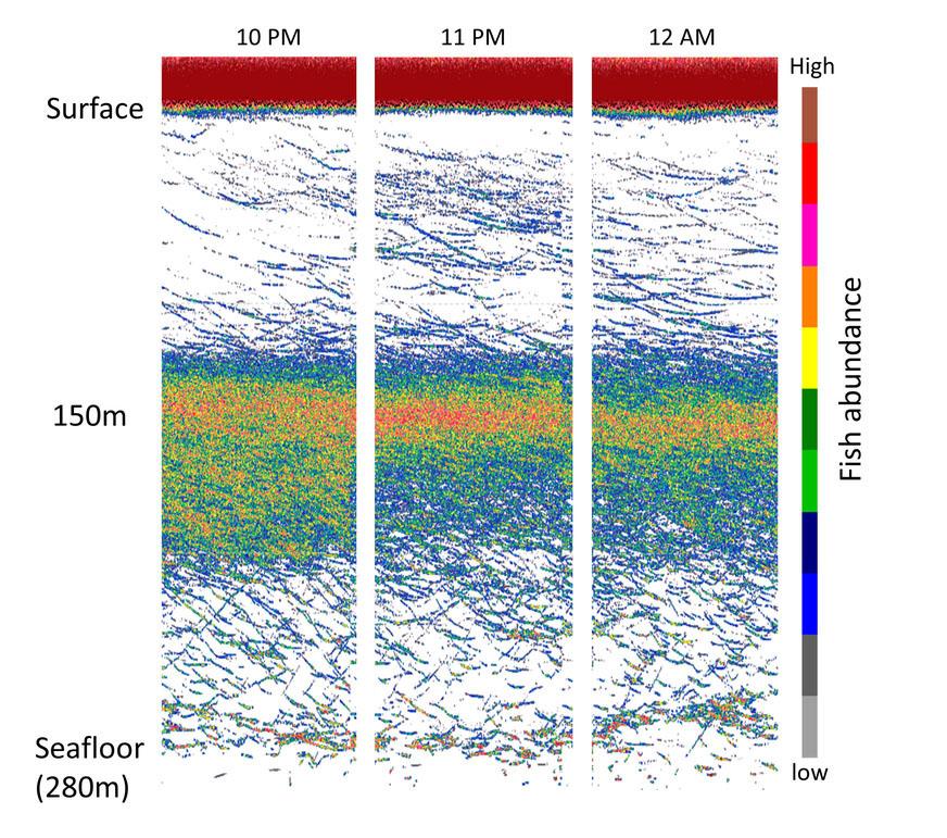 NOAAFisheries's tweet image. For Pollock Surveys in Alaska, Things Are Looking Up. More on surveys &amp;amp; sonar here: 1.usa.gov/1PyVTqM
