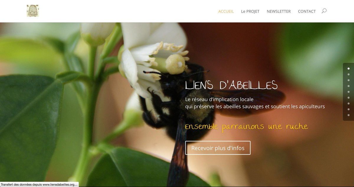 Permalien de l'image intégrée