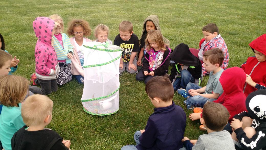 MrsCalmes_NW's tweet photo. Releasing our butterflies! http://t.co/J0Tam4U2PR