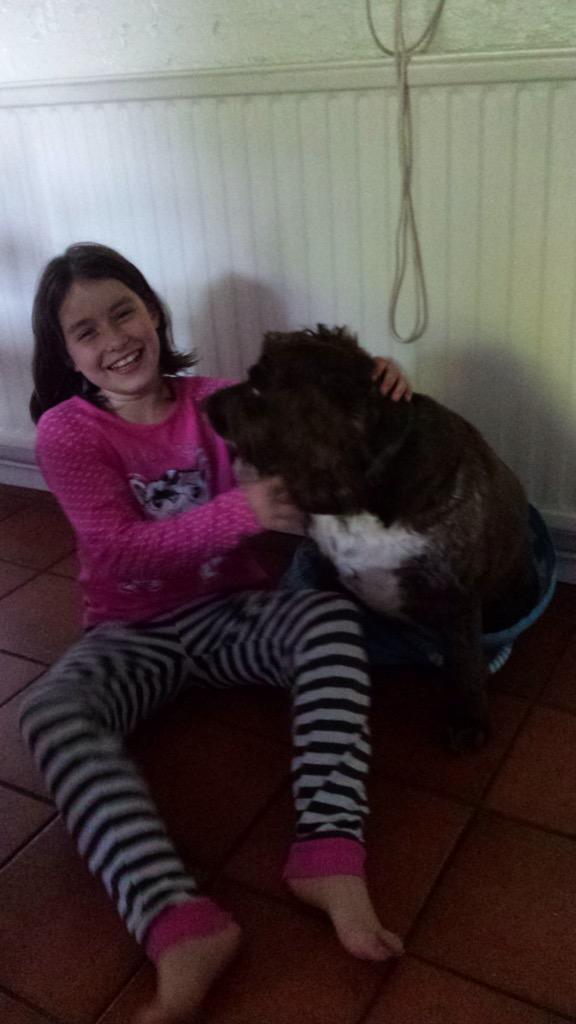 Linus doesn't think Ginty should be laughing at him getting his back half trapped in the IKEA laundry basket (again).