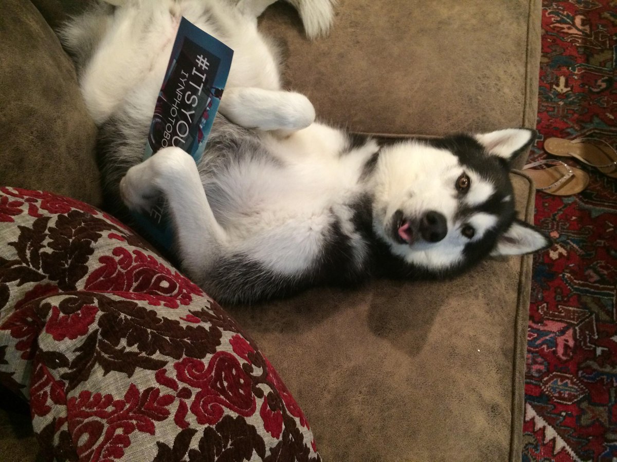 IYNphotobooth's tweet photo. @MeggieFrancisco sent us part 2.  We love this shot!  #itsyourselfie http://t.co/0bd6Zl7QTf