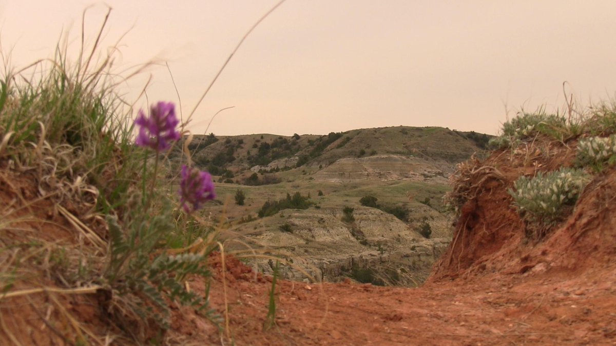 Finding The Trail tweet media