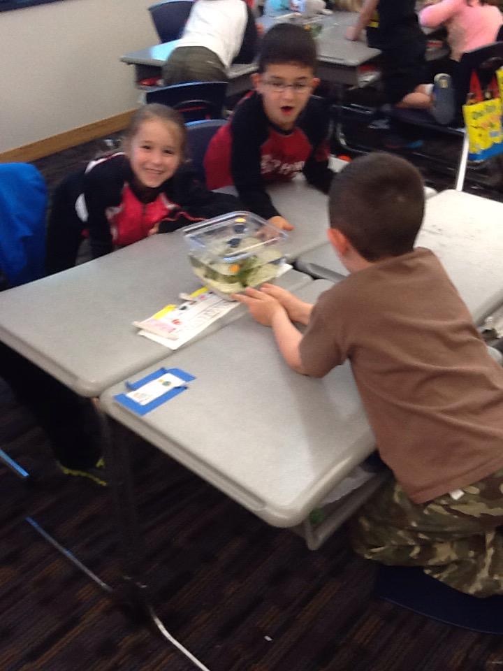 Conroy1stGrade's tweet photo. We explored and made observations about our aquariums in science today! 🌿🐌🐠🐟 http://t.co/HBMP6RhKY4