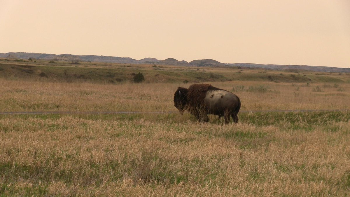 Its been awhile, but here are a few pics from filming @ theodore roosevelt NP!