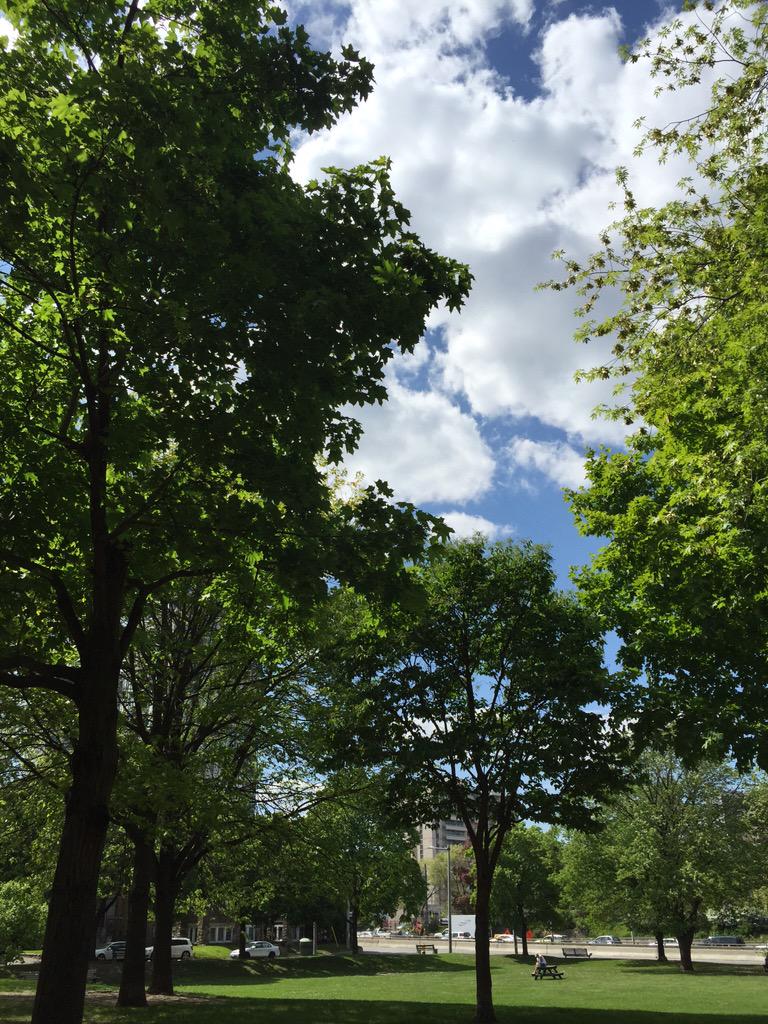 KristiGraham40's tweet photo. It's a beautiful day in the neighbourhood. #YYZ #springdayz http://t.co/BINqcSon0R