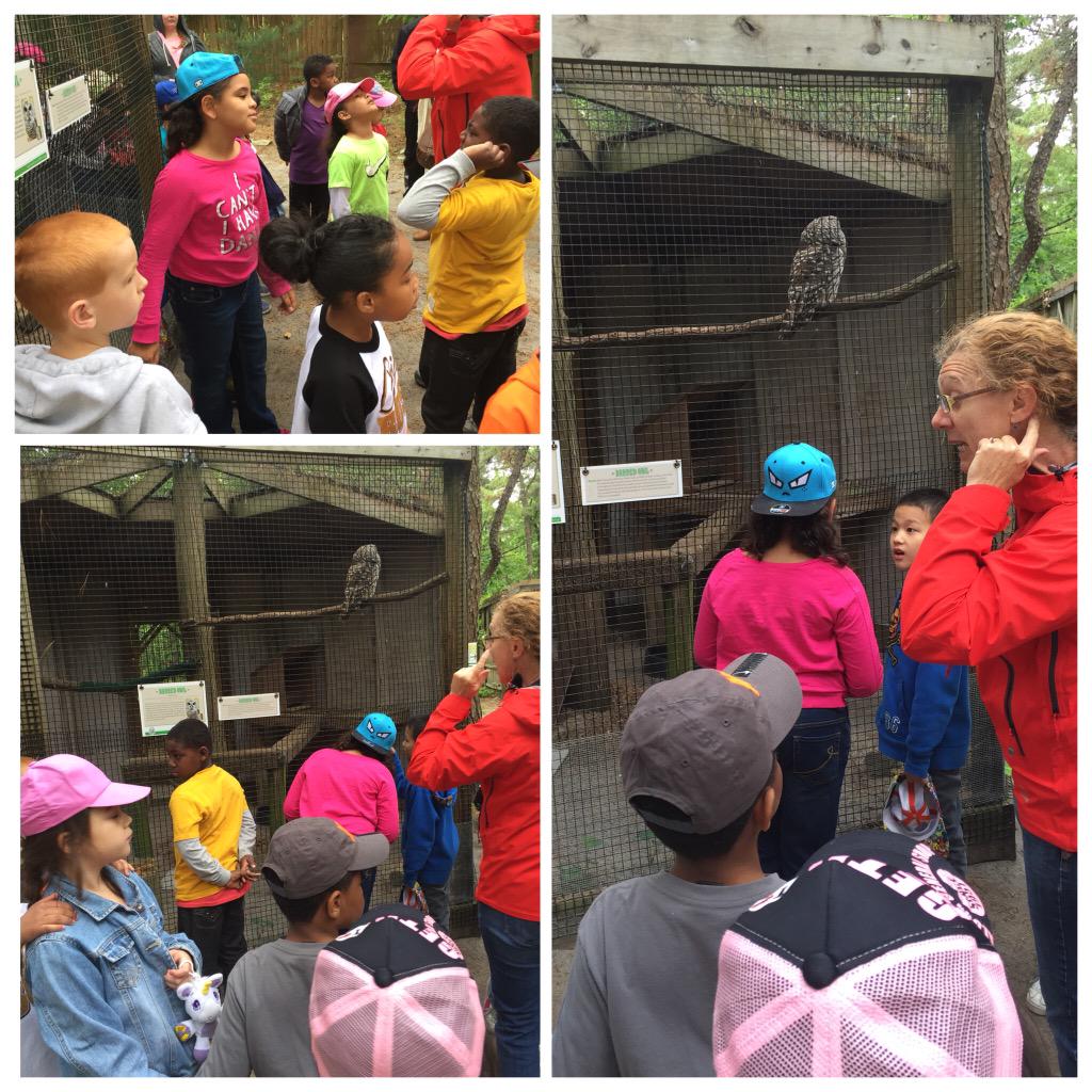 Fun day at the Woodford Cedar Run Animal Refuge!