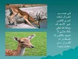 8r2t_Lcom's tweet photo. http://t.co/Pu6YJad6pS