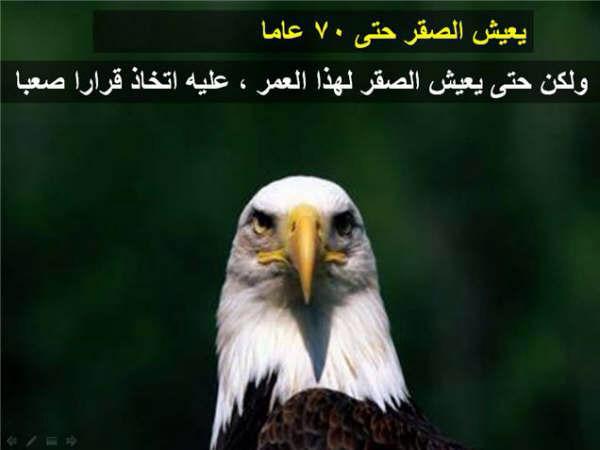 8r2t_Lcom's tweet photo. http://t.co/vqBzncQPTW