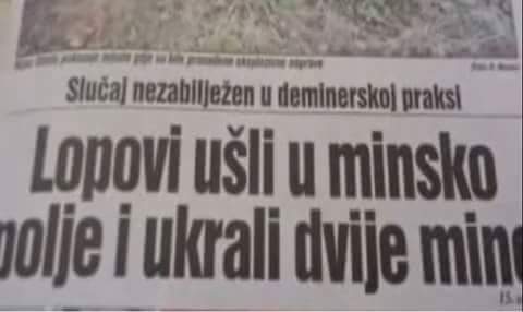 Donald Radinovic tweet media