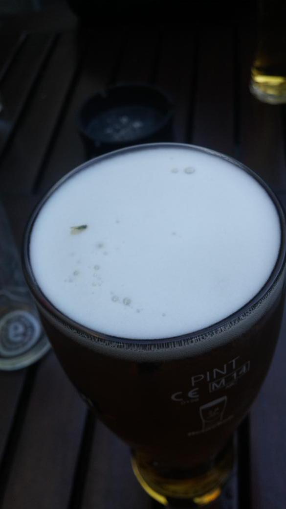 dysondrew92's tweet photo. The phrase 'don't bite off more than you can chew' comes to mind... Let's try #boozingfly http://t.co/CZJdZAZXRs