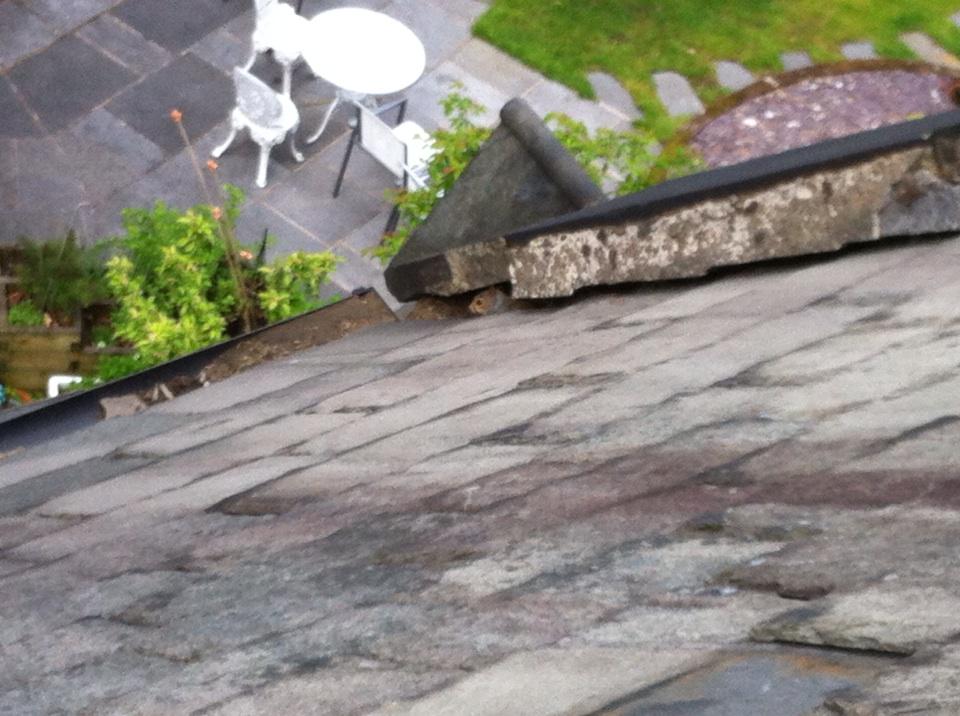 benhernon's tweet photo. Spot the squirrell #squattersrights http://t.co/pVvEdYrESF
