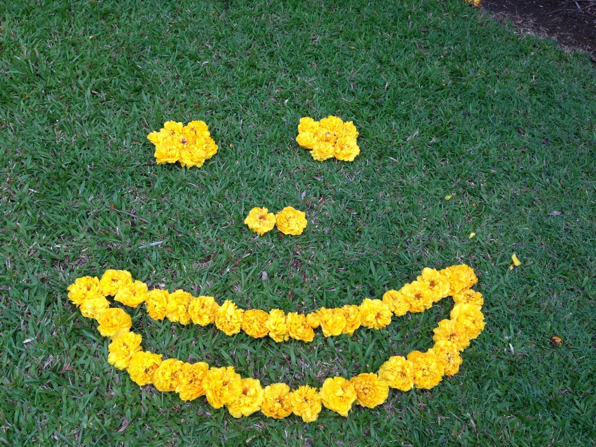 Text2Service tweet picture