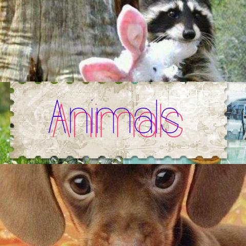 Kira Bel™ (@kira_bel) on Twitter photo 