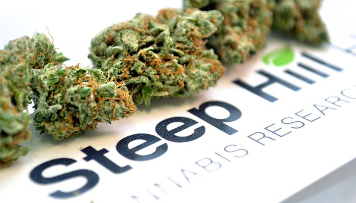 GanjaTech's tweet photo. Some of the highest levels of #cannabis research from @steephilllab http://t.co/e2SBYsRfI5
#marijuana #weed #ganja http://t.co/6vagiVxqdo