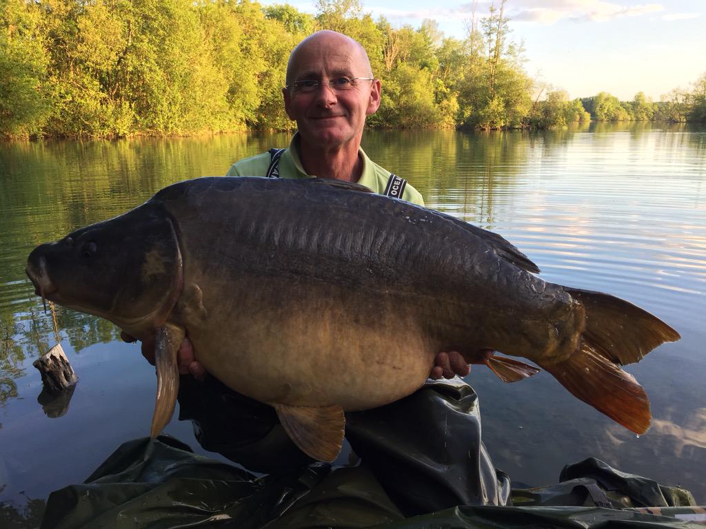 thecarpzoo's tweet photo. Another dark mirror of 51 lb from The Zoo #mainline http://t.co/MVi4hvOGQI