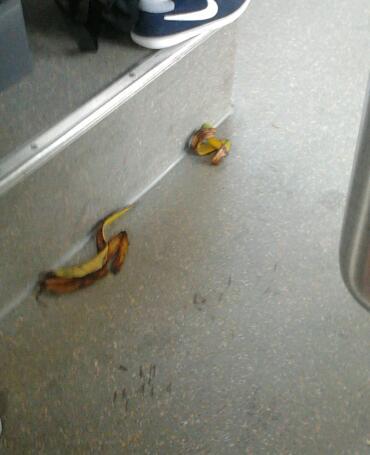 S&igrave;, ci ho sperato. No, non &egrave; accaduto. http://t.co/RfKGBBEaui<a href="/tag/oravolanoipiatti"class="tags"><span>#oravolanoipiatti</span></a><a href="/tag/mettozizzania"class="tags"><span>#mettozizzania</span></a>