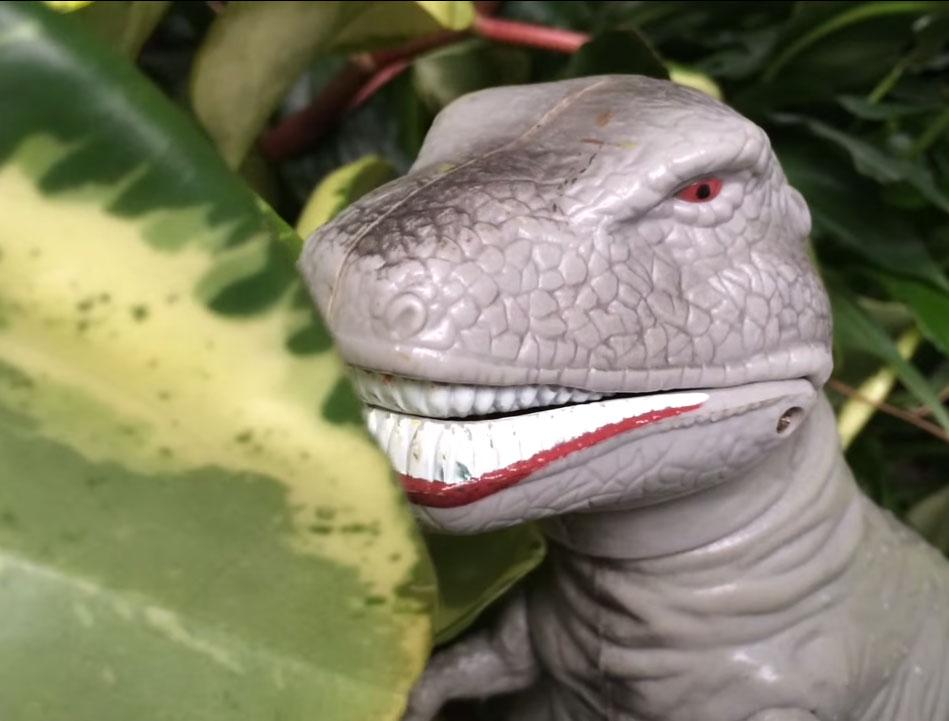 TravelManitoba's tweet photo. Ready for your close up? Film your own prehistoric movie &amp; you could WIN a fossil dig for 6: http://t.co/tKq8VgApkS 🌋 http://t.co/9aMe4YHg3s