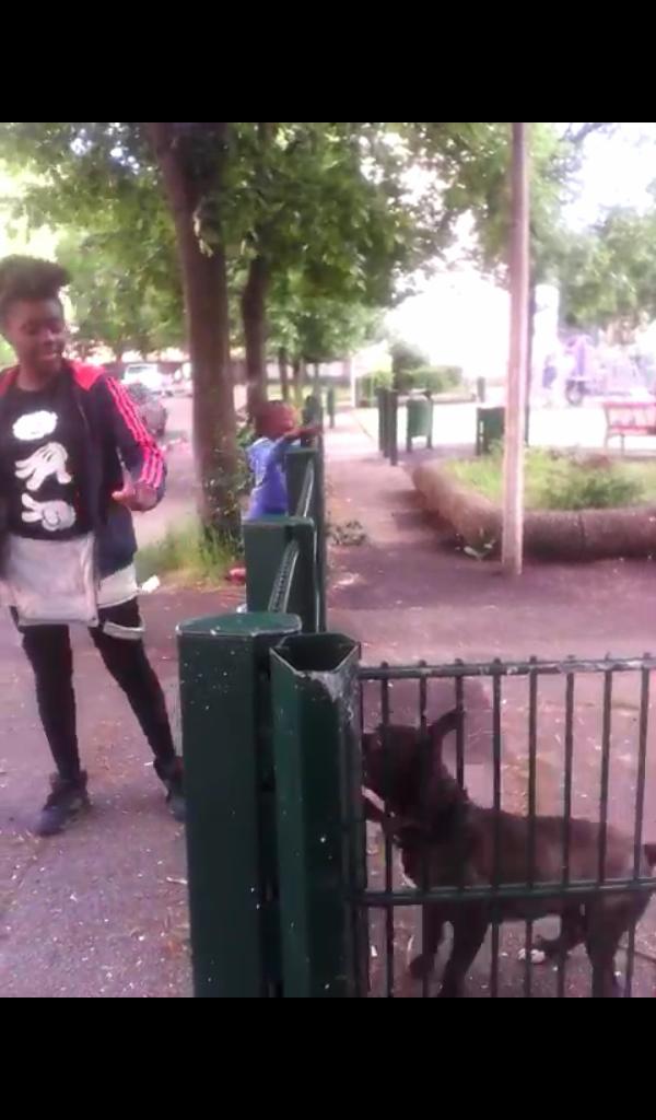 KovuzPride's tweet photo. Ma Chienne C'est Trop Une Warrior Si Elle Veut T'attraper Elle T'attraperaππ #Prada #AshIndustrie #MaDog #BadPit http://t.co/PxmLuFAAef