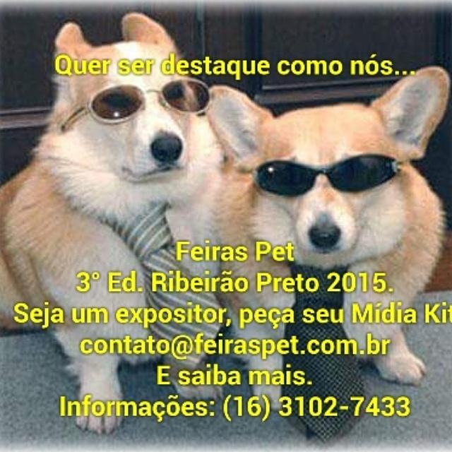 FeiraPetRP's tweet photo. http://t.co/3ctJTCB9yy