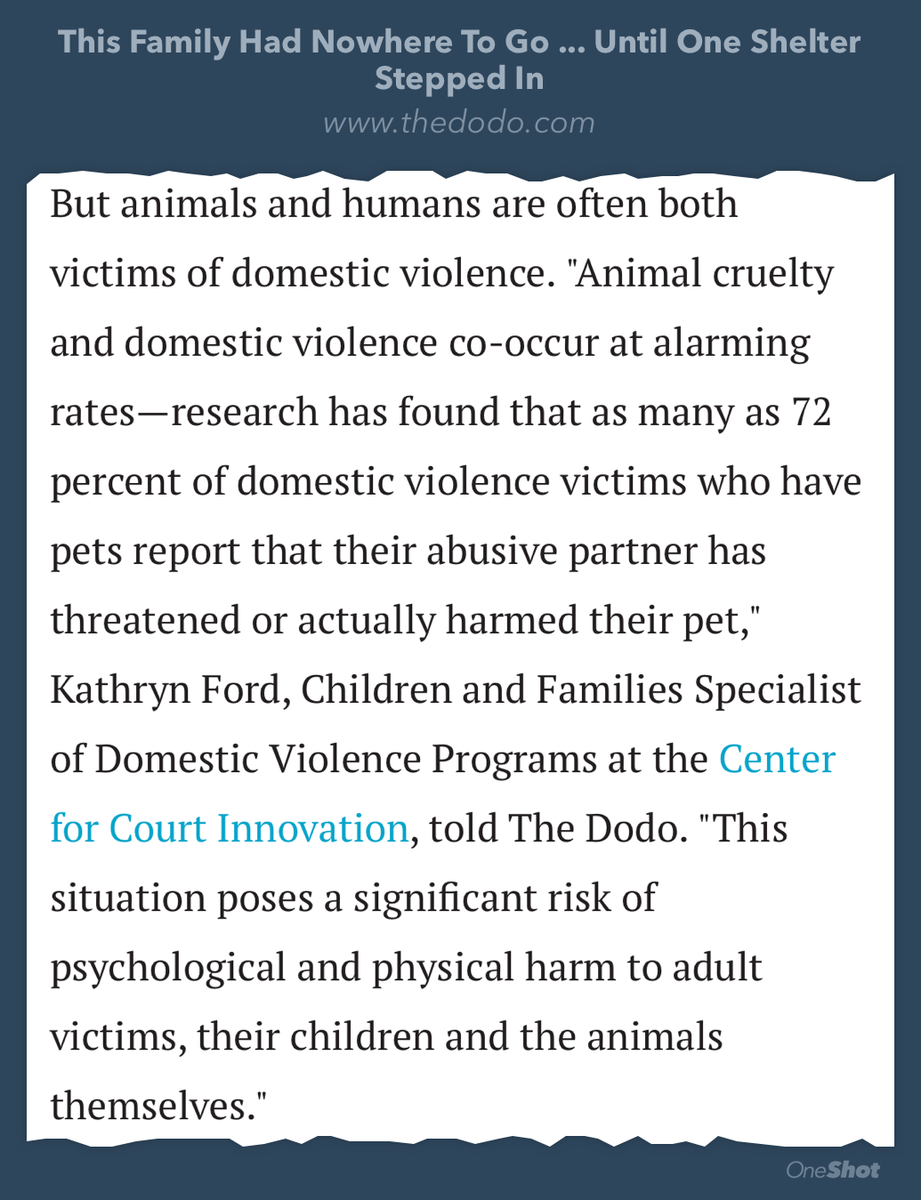 anamariecox's tweet image. A home for domestic abuse victims that welcomes their furry supporters, too. ::happy tears::  thedodo.com/cat-and-family…