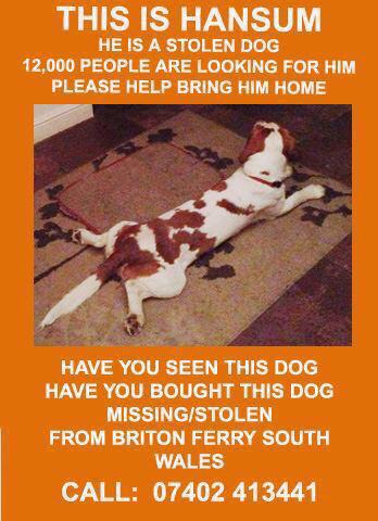 Find Hansum tweet media