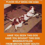 Photo by Find Hansum (@HelpFindHansum_)
