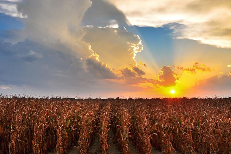 eOcean126's tweet photo. The sun helps keep us alive! Without the sun, we wouldn't be able to grow vegetables to eat.  #ExplainTheSun #209sun http://t.co/lzORioB0nd