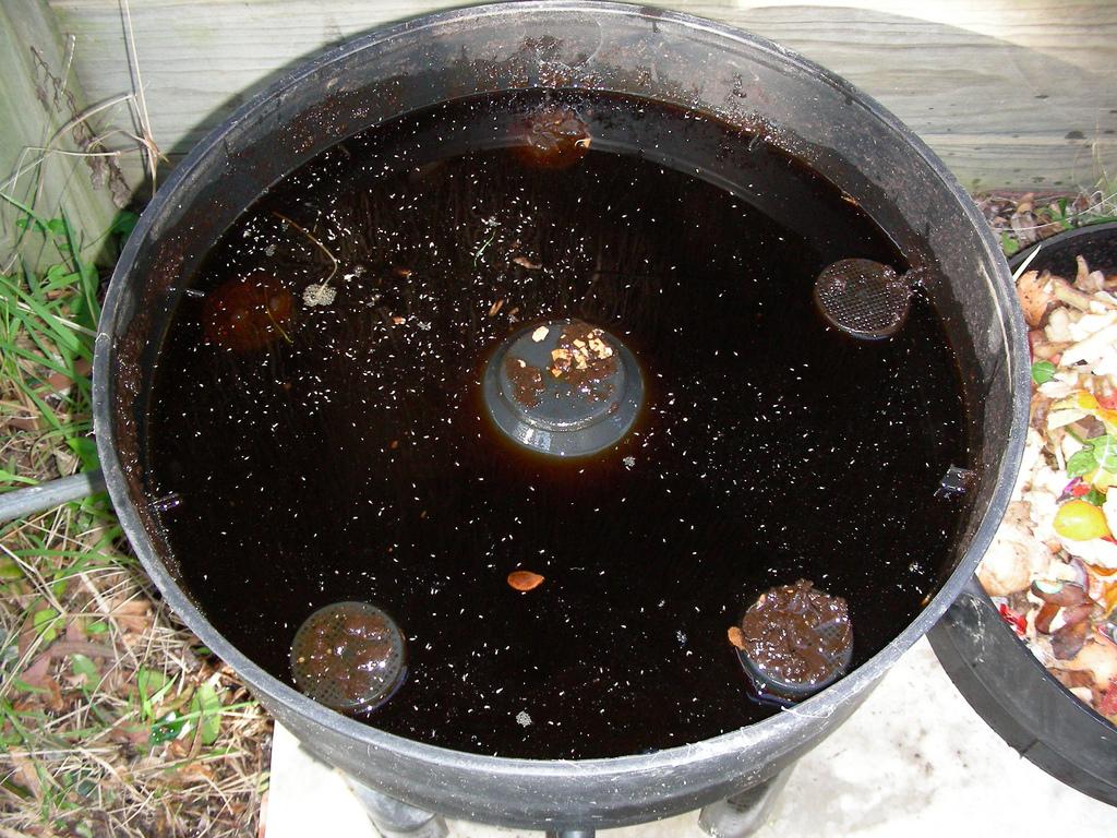 sofiaoraa's tweet image. Quieres saber cómo hacer té de gusanos? Haz clic: tedecompost.wordpress.com/2015/05/21/com… #TeDeCompost