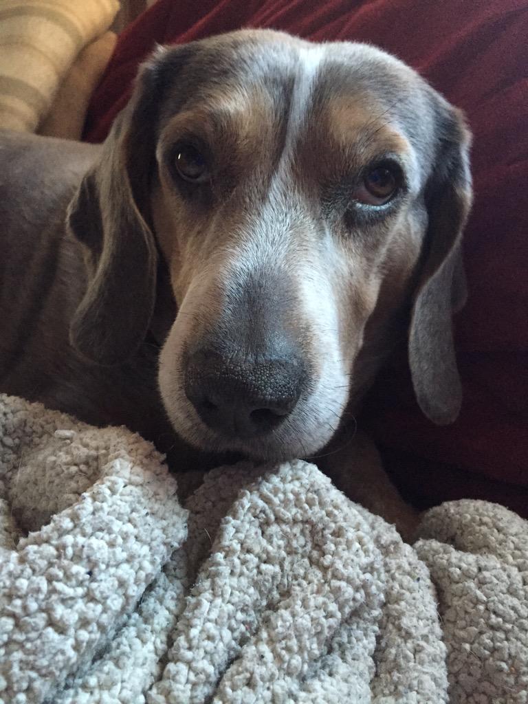 BoiSausage's tweet photo. The fuck is wrong with my eyes, anyways #selfie #myblankey http://t.co/95DcJq8LeV