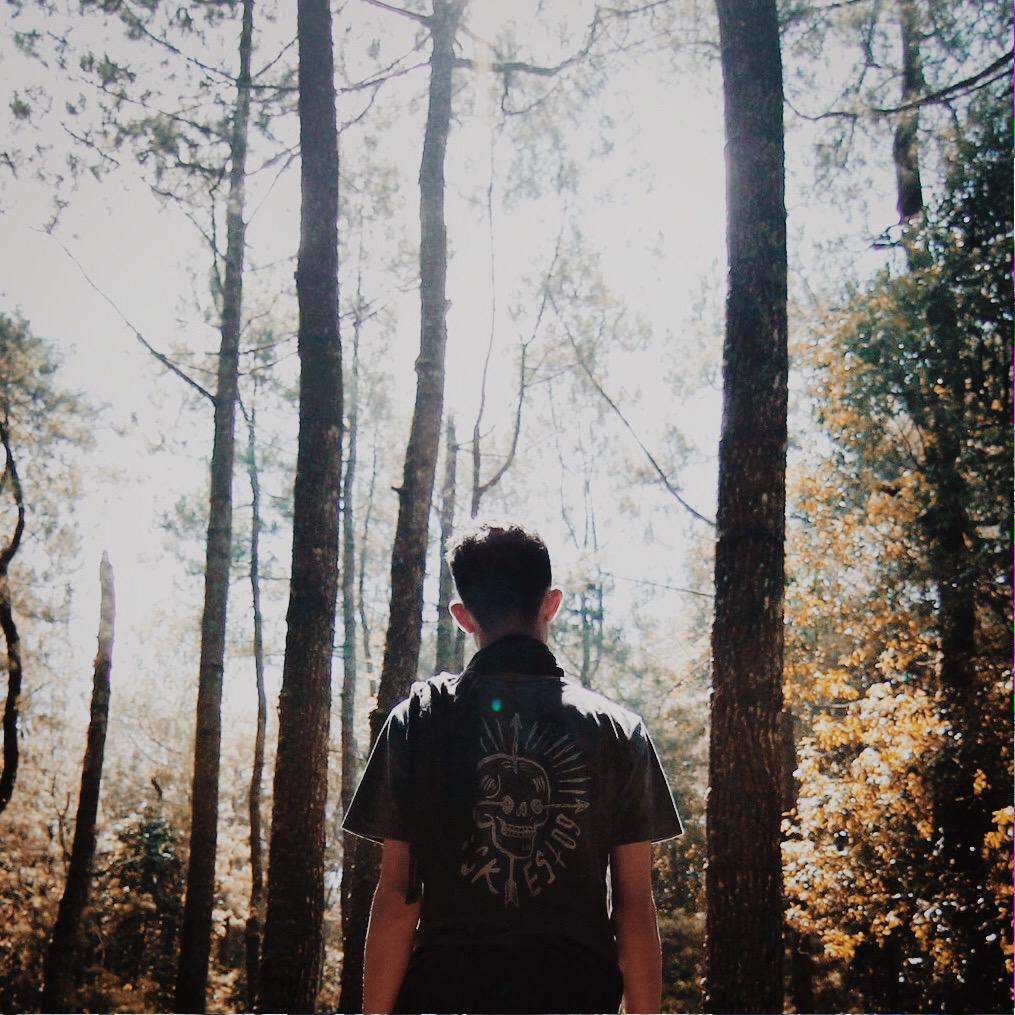 Hallo good morning 

Check our new products which is Located in store