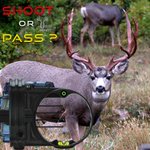 Photo by Ground Auger Hunting (@GroundAuger)