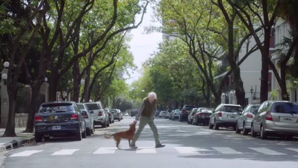 NTN24's tweet photo. Estremecedora historia: perro y su dueño protagonizan campaña de donación de órganos. Ver -> http://t.co/vqPPeKhgUx http://t.co/t5H6okRLoc