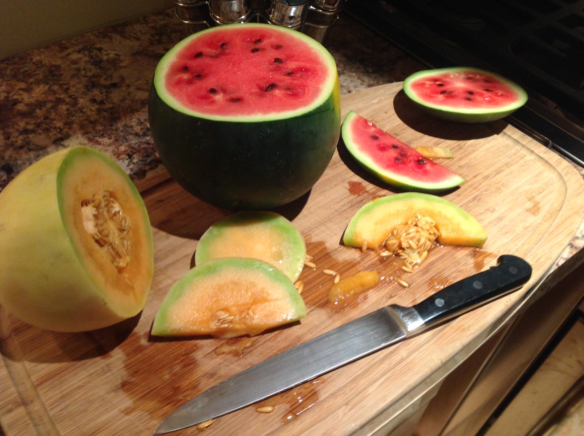 picketproduce's tweet photo. I love it when I get #ProducePhotos from my #produce lovin' customers #FruitObsessed #OrganicFruit #Watermelonheaven http://t.co/EQCRxN5sbH