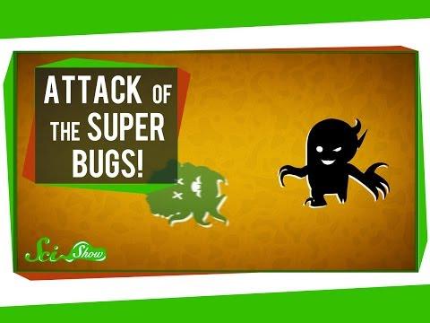 Attack of the Super Bugs vid.staged.com/5Uxp #staged